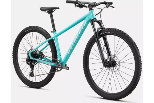 rower z niebieską ramą marki Specialized